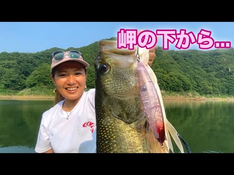 レイラ✨️お久しぶりです🌸