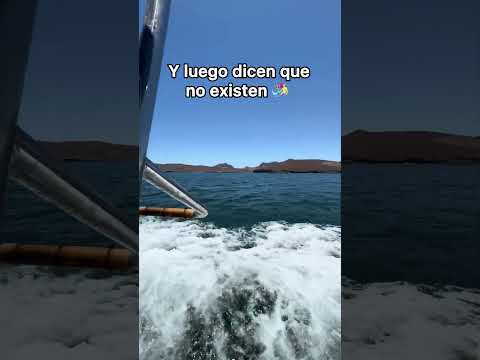 Lo que parecía un simple paseo en lancha, se convirtió en una experiencia única 🤯