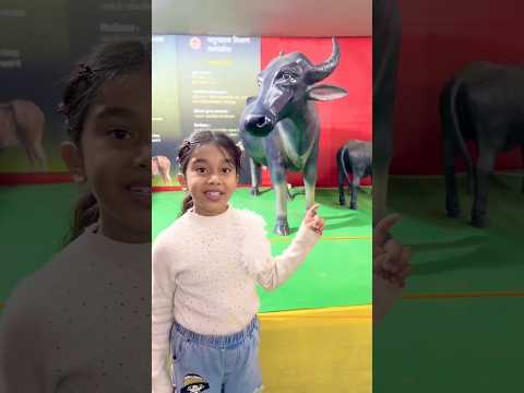 Amaira n dekhi magical cow🤣 #shorts #thegeetagurjar