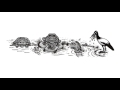 Environmental Water and River Ecosystems