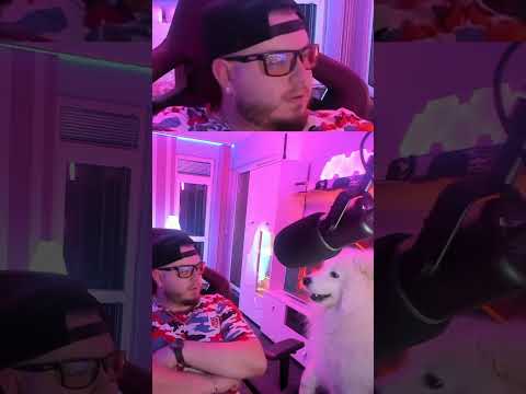 Arthas wants to be petted | #martybomaye on #Twitch