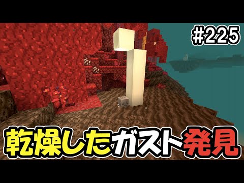 【マイクラ】乾燥したガストを発見！ハッピーガストの誕生だ！（真鯖'24-225）