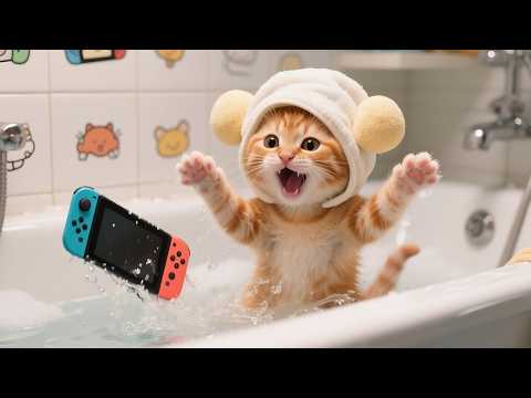 Tiger-Hat Kitten Drops Switch in Bath, Earns ¥49,980 Doing Chores for New One｜Daisy's Journal66 #cat