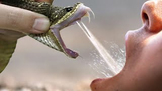 10 Most Fearless People On The Planet