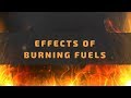 Environmental Impact of Fuel Consumption