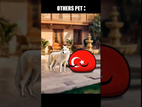 "PET🐻‍❄️...“ [V-2] | Countryballs - edit | #countryballs #memes #edit #pets