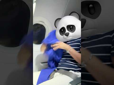 Mi Avión Se Va A Caer, Necesito Ayuda 😰