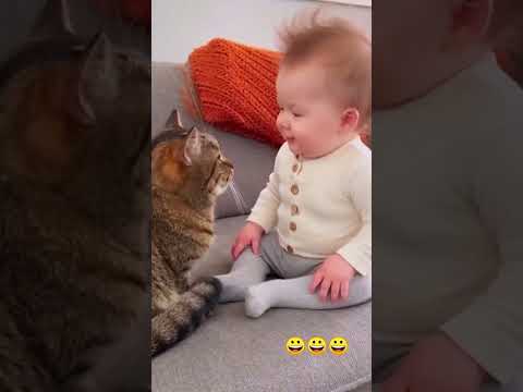 Phillies land All-Star closer Jhoan Duran ahead of MLB trade deadline ๐๐ฅ #JhoanDuran