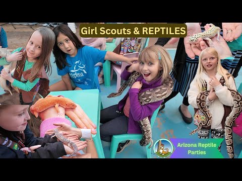 40+ Girl Scouts Learn & Enjoy REPTILES! - Arizona Reptile Parties