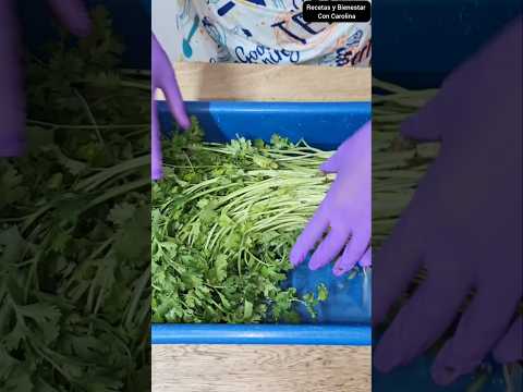Sabias que si pones el cilantro en Agua fría...