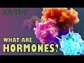 Understanding Hormones