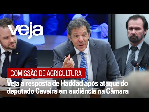 Veja a resposta de Haddad após ataque do deputado Caveira em audiência na Câmara