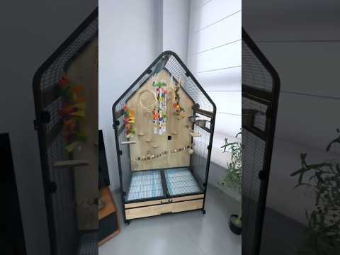 This large parrot cage needs proper decoration. #birds #parrots #parrot #pets