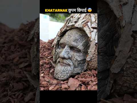 PT.25 Hardest Hide-And-Seek Challenge ๐จ๐จ #shorts #shortvideo #knowledge