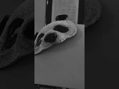 Silent Bob & Sick Budd - Giorno Dopo Giorno