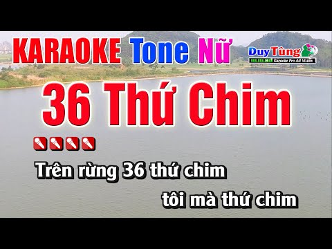 Karaoke || 36 Thứ Chim – Tone Nữ ( Cha Cha ) Nhạc Sống Duy Tùng