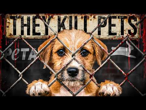 PETA Deserves Their Failure