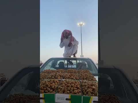 Date's Season in Madinah موسم رطب | Madinah Date's Market | Ajwa Date's تمر اجوا #shorts