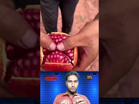 এভাবে বেদানা ছাড়ালে সময় লাগবে মাত্র ১০ সেকেন্ড😱 #youtubeshorts #viralvideo #trendingnow #samtheloser