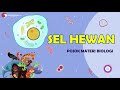 Kuis tentang Sel Hewan