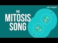 Exploring the Mitosis Process Through Song