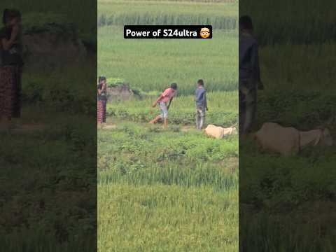 20x Zooming Samsung Galaxy S24 Ultra 🤫🙆‍♀️ #samsung#s24ultra #shorts