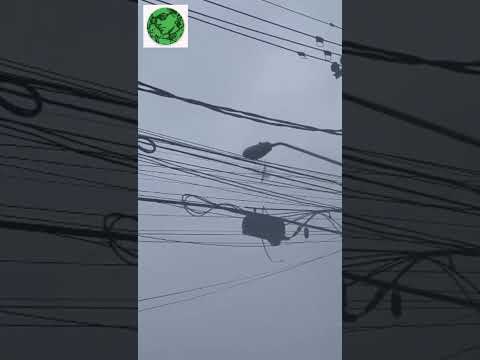 cai avião em vinhedo São Paulo #shortes
