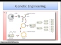 Genetic Engineering, Cloning, and Selective Breeding