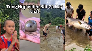 Đi Bắt Cá Về Bán | Tổng Hợp Những Video Hay Nhất