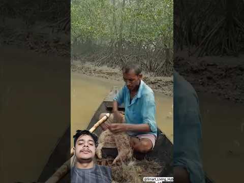 A disabled duckling helps his cat friend🐥#DuckRescue #CuteAnimal #AnimalRescue