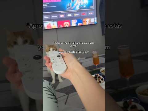 Noche con mi gatito 🐈 #cat