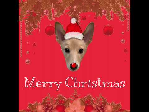 [라이브레코딩🎤🎄]Mariah <strong>carey</strong> - Charlie Brown Christmas ❤️💚