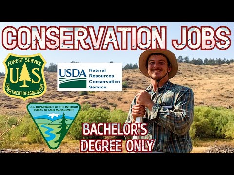 Environmental conservationist job description - How to Become a Conser