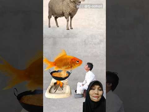 BiKiN GuLai‼️@tj-sohail