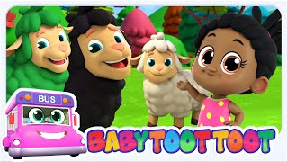 Baa Baa Canzone Della Pecora Nera | Filastrocche Per Bambini In Italiano - Babytootoot