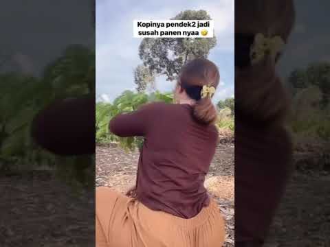 #gadisdesa #shortsfeed #shorts #viral #cute #waterfall #humor #outfit #funny #comedy #vlog