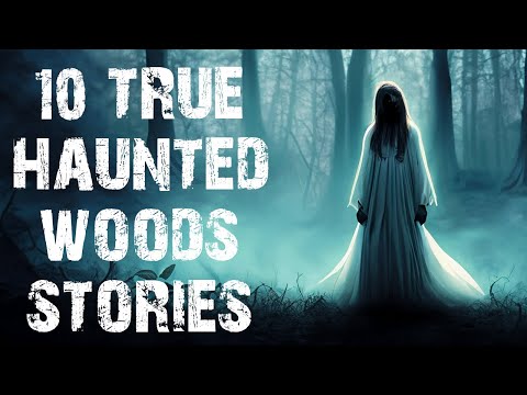 10 True Disturbing Haunted Woods Scary Stories | Deep Forest Horror Stories To Fall Asleep To