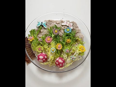 你若盛开 蝴蝶自来#干饭狗的日常 #狗吃的比我好系列 #狗狗吃饭 #每日喂食 #自制狗饭