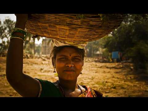 Inde du Sud : voyage au cœur du Tamil Nadu et de ses traditions – Documentaire voyage - AMP