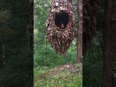 The creative bird nest 👀 A House Swaying in the wind 🐦🐦🐦🌪️🌪️🌪️