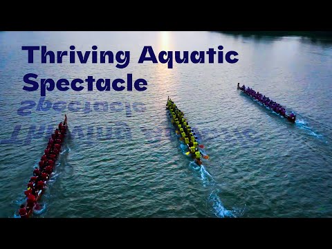 Beypore Buzzes with Excitement | CBL  | Kerala Tourism