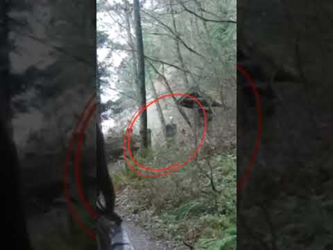 Scariest things hidden in normal photos 😮 #shortsvideo #shorts #scary #ytshorts