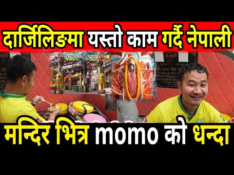 दार्जिलिङमा यस्तो काम गर्दै नेपाली l छिटो हेर्नुहोस् l sheshmani vlog l darjeeling, sikkim l gangtok