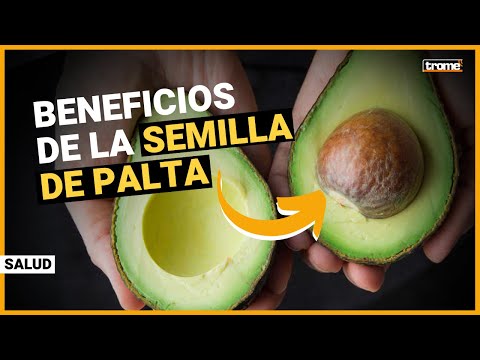 SEMILLA DE PALTA (AGUACATE): 6 poderosos beneficios y cómo consumirla