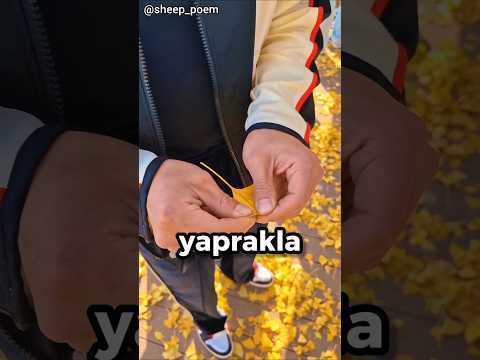 Mükemmel oldu bu 😄 (@sheep_poem - IG)