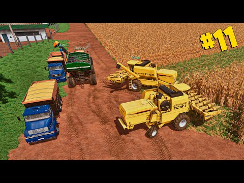 Grupo FbMasa #11 | Voltei pra fazenda | 2 safra de milho #ESTRELA | Farming simulator 22