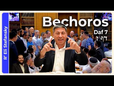 Daf Yomi Bechoros Daf 7 by R' Eli Stefansky