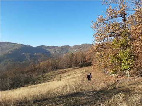 Нема потребе ником причати и делити своје мисли и планове