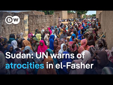 Massacre might happen in El-Fashar, Sudan, says Doctors Without Borders | DW News