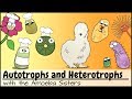 Understanding Autotrophs and Heterotrophs